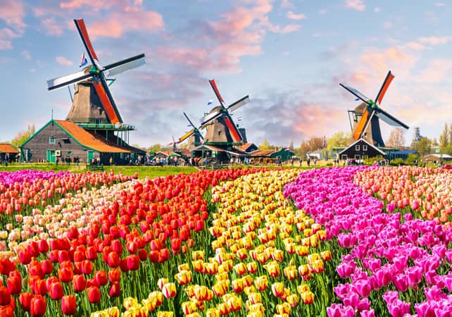 Eigendommen te koop en te huur in Nederland