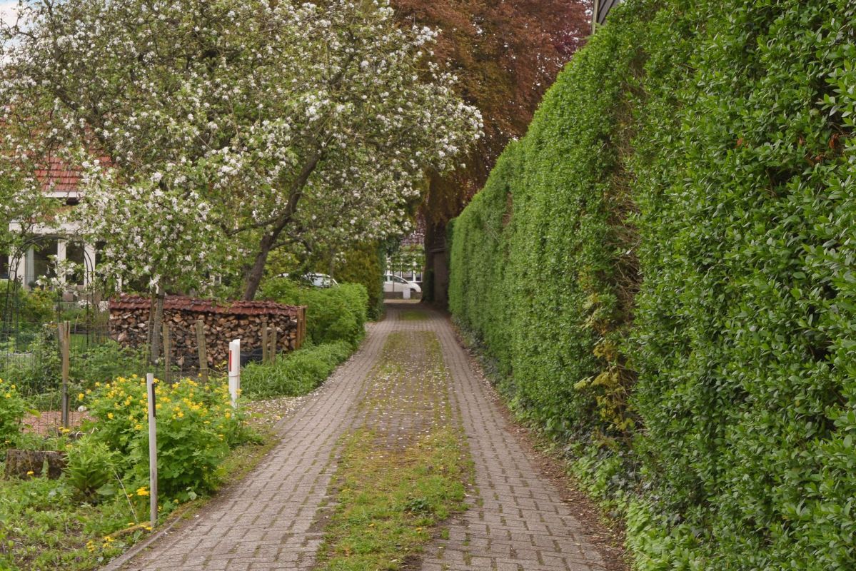 En venta Villa pareada, Huizen, Noord-Holland, Holanda